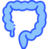 colon