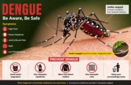 Dengue Fever – Symptoms, Prevention & Treatment